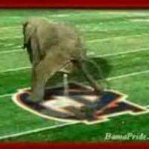 Meet your Posher, Lee